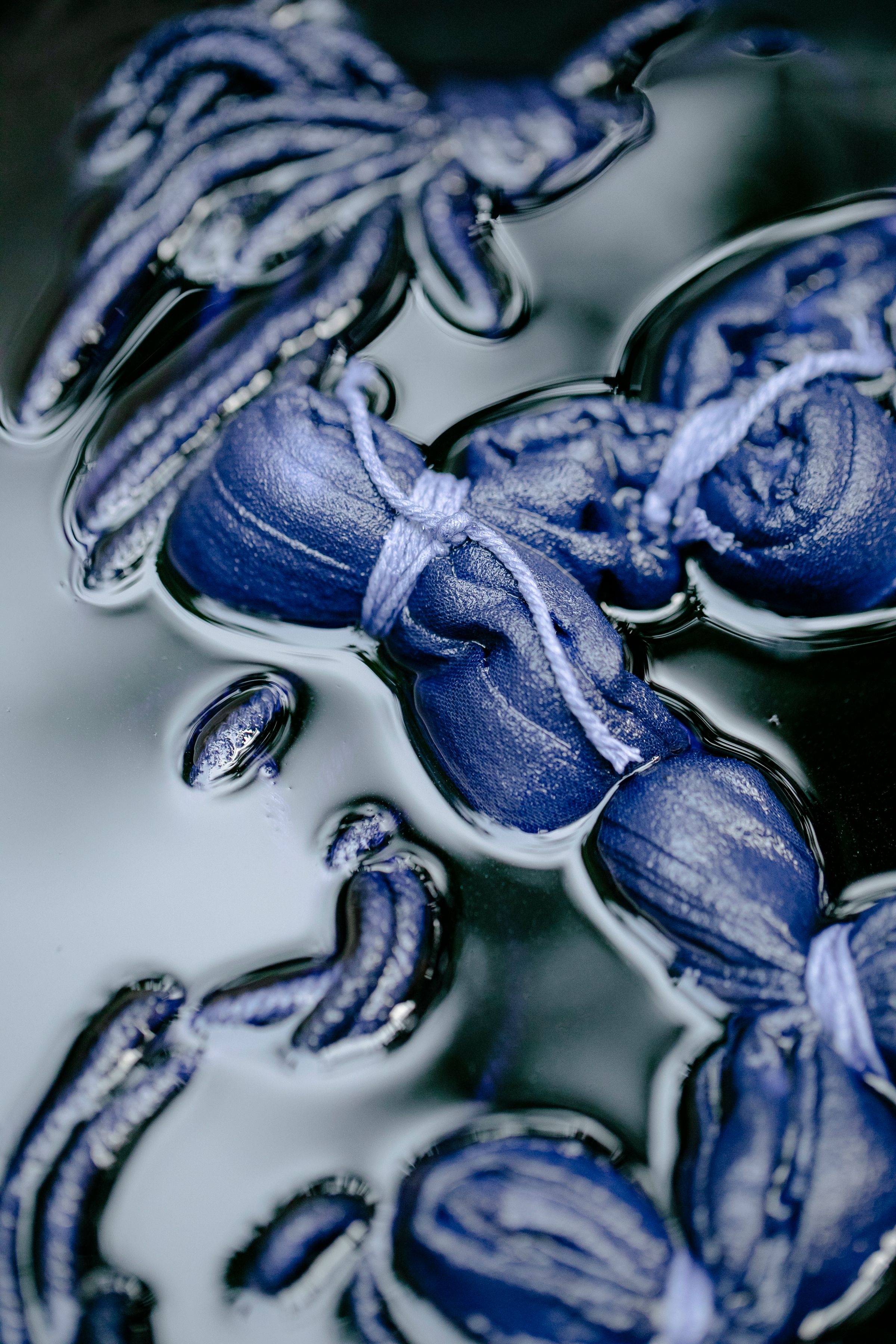 fabric tied for indigo dyeing