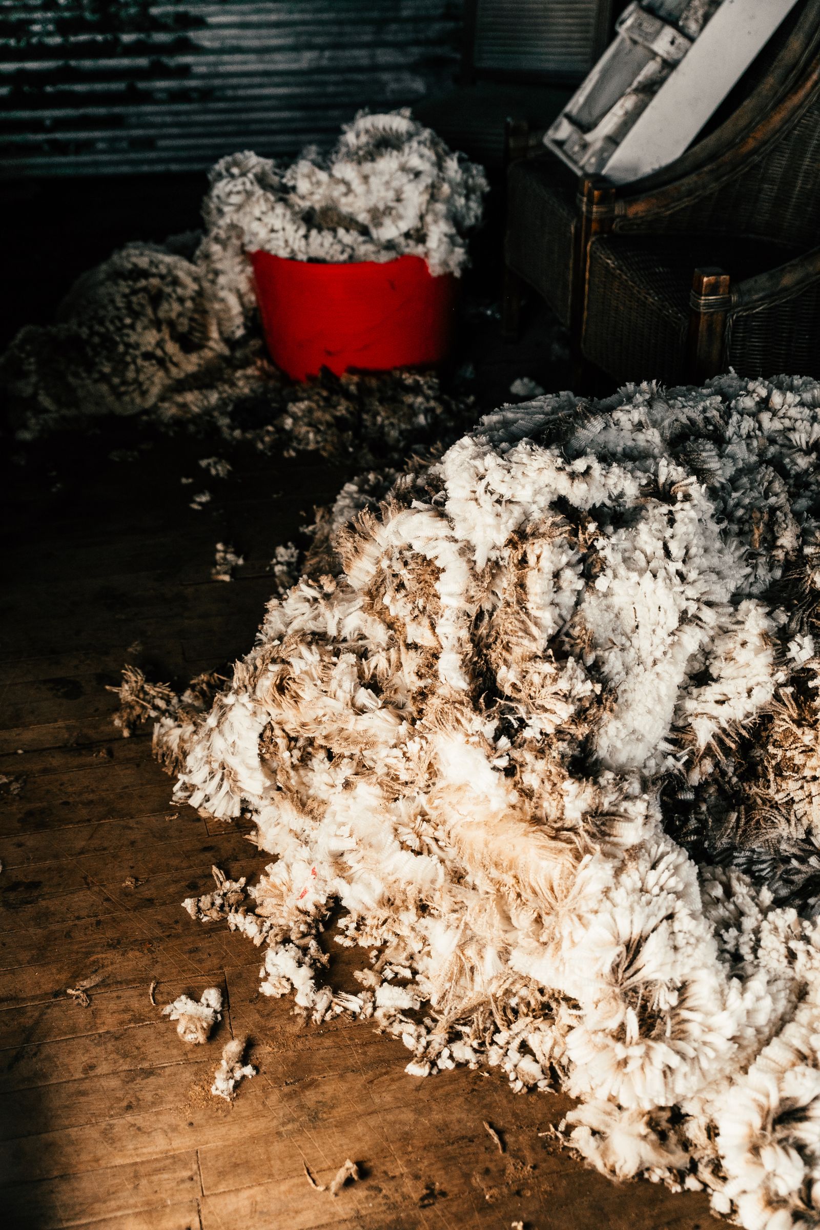 raw wool fleece piled on a shearing shed floor